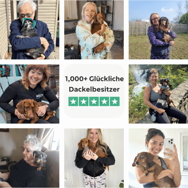 Der komplette Dackel-Ratgeber