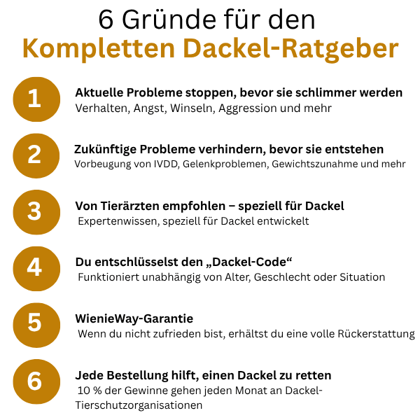Der komplette Dackel-Ratgeber