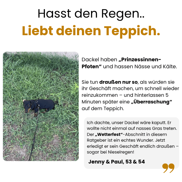 Der komplette Dackel-Ratgeber